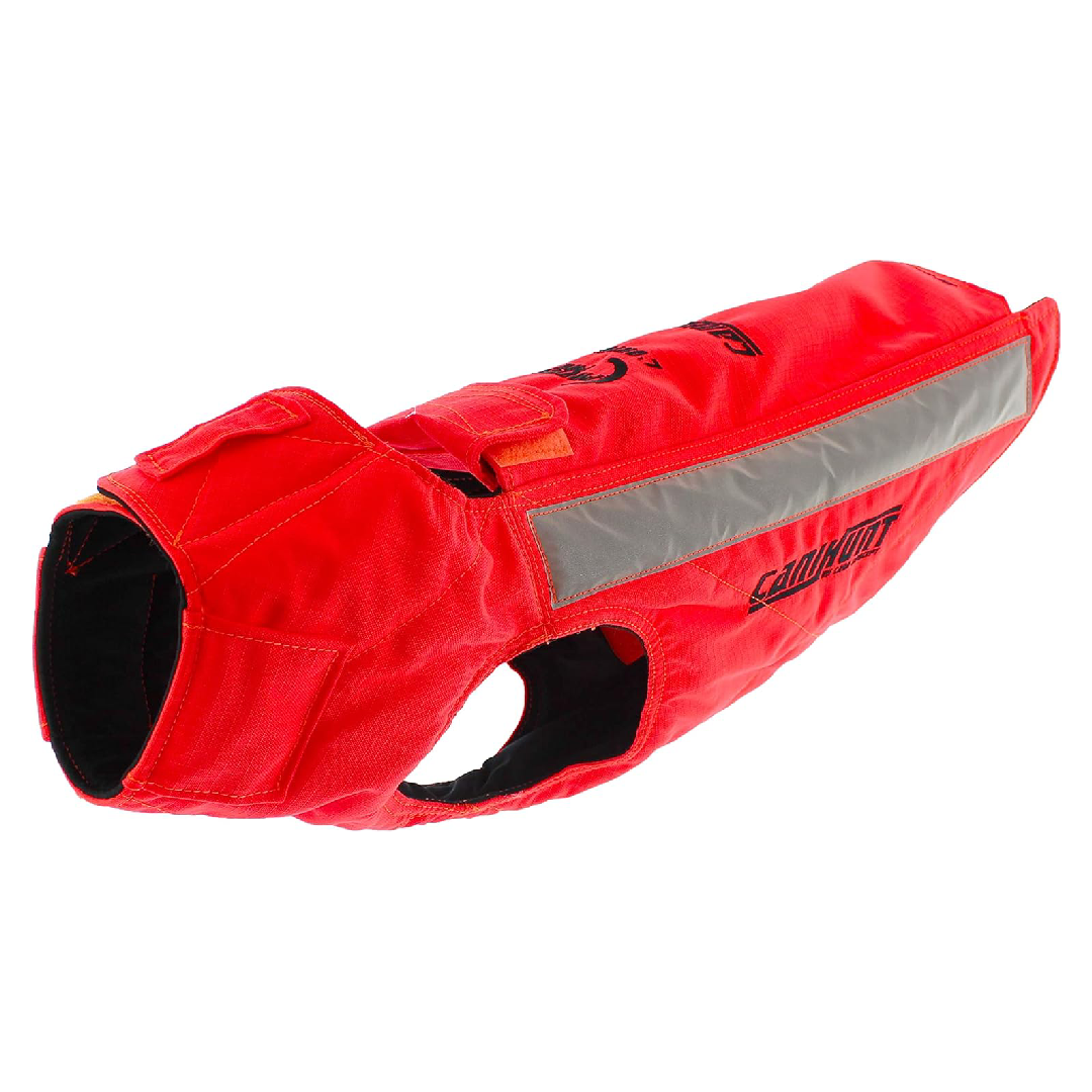 Gilet protection chien de chasse solide