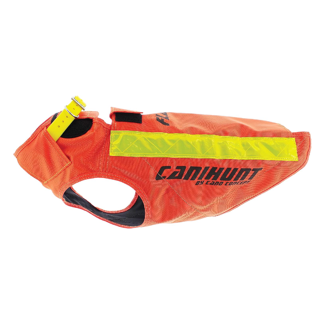 Gilet protection chien meilleur