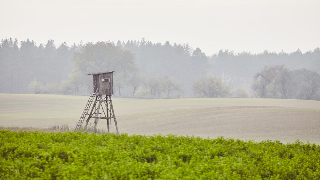 comment choisir mirador chasse